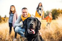 Einen Hund für die ganze Familie. Der Familienhund. Ich unterstütze und berate Sie bei Ihrer Entscheidung.